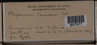 Image Associated With the Occurence